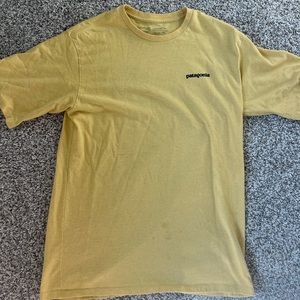 Patagonia tshirt